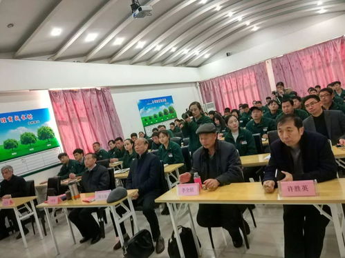 追求卓越 盛森专业培训班引领终身学习新浪潮